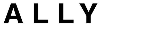 ALLY inc.